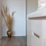 Doris